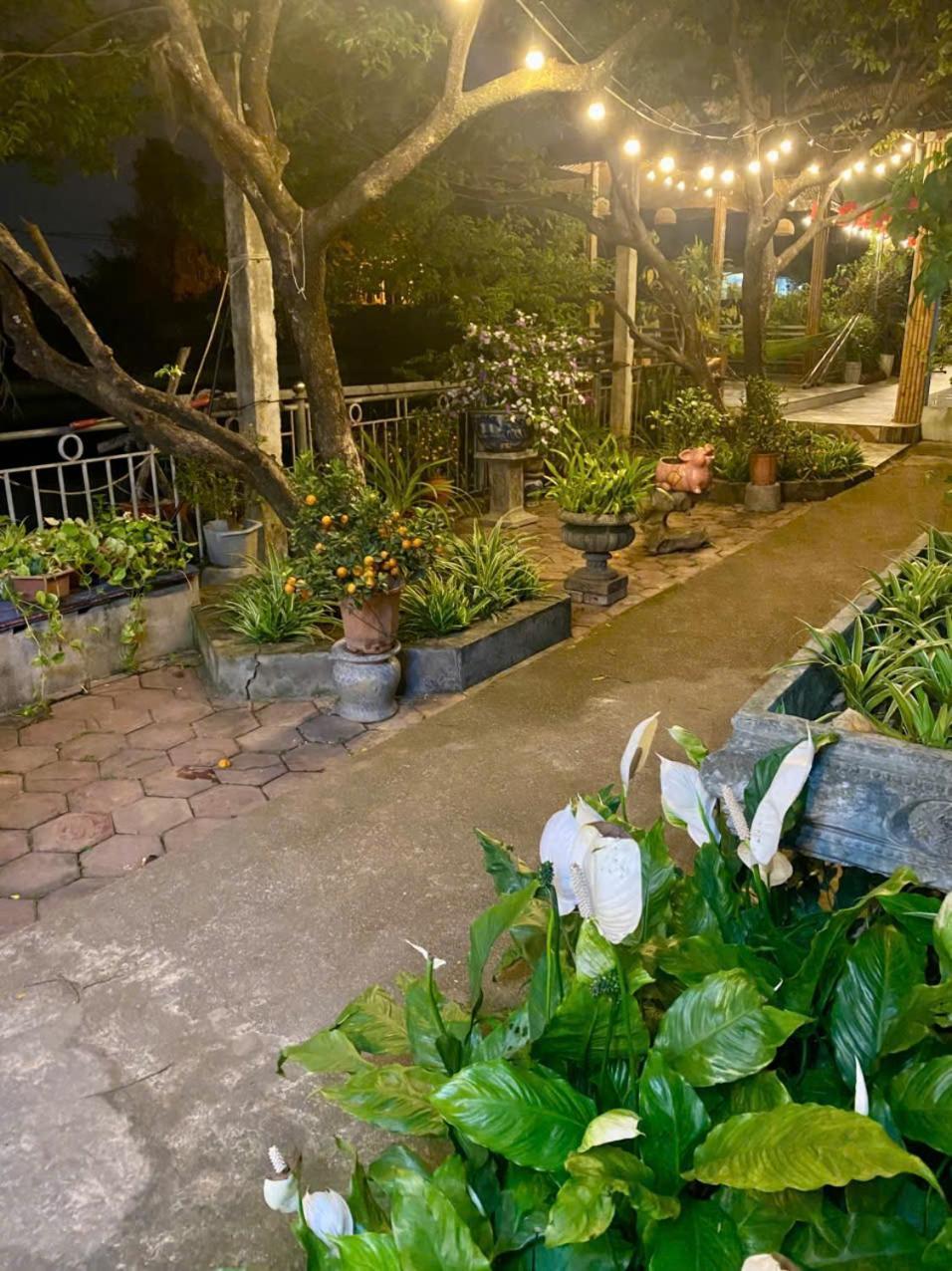 Blue Garden Homestay Ninh Binh Exterior photo